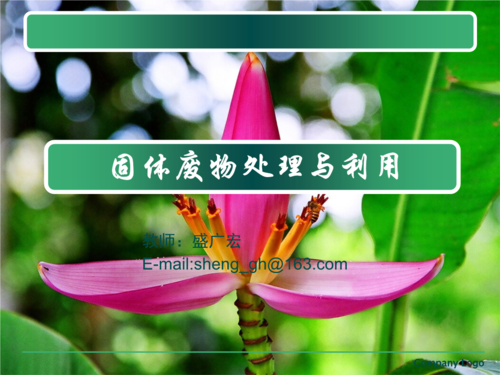 第九章 危险固体废物的处理技术